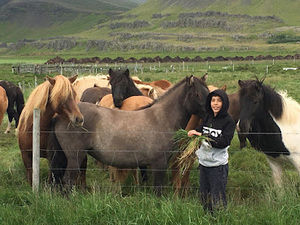 Meet your Posher, Marcelo juan